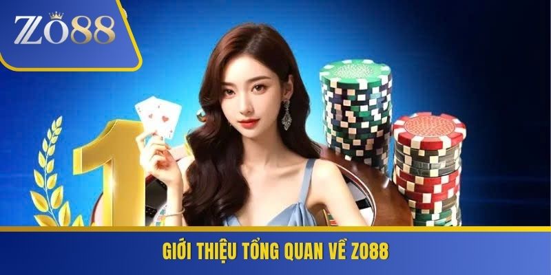 Giới thiệu tổng quan về ZO88